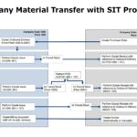 Inter Company Material Transfer with SIT Process in SAP