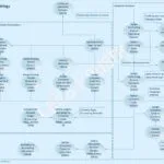 SAP FI Global Settings Configuration Cheat Sheet